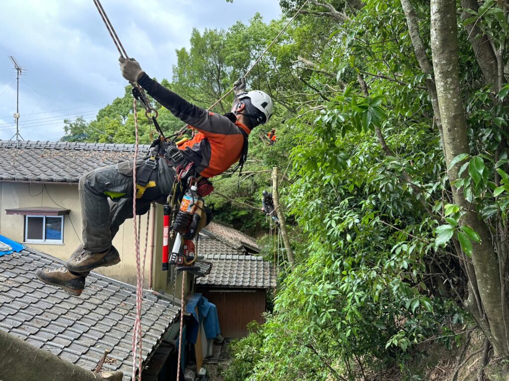 上天草市大矢野町】にて特殊伐採をご依頼頂きました！ – 熊本で木の